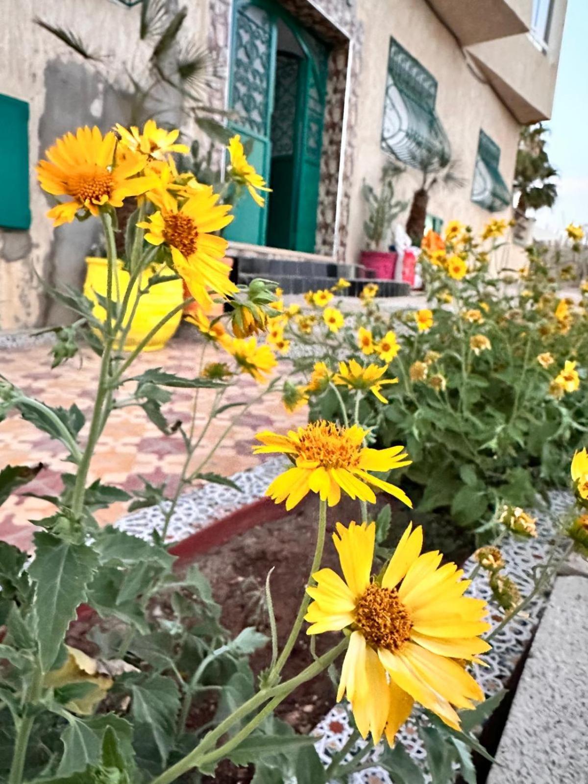 Dar Zina Morocco Hostel